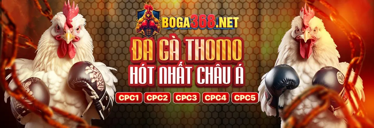 Đá gà trực tiếp fi88 code